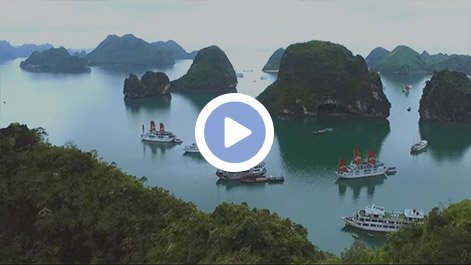 Why choose Halong Bay Tours