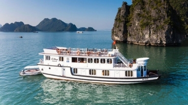 Bhaya Premium Cruise